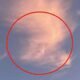 Donald Trump has got his head in the clouds! Dogwalker spots US president’s profile in the sky