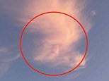 Donald Trump has got his head in the clouds! Dogwalker spots US president’s profile in the sky